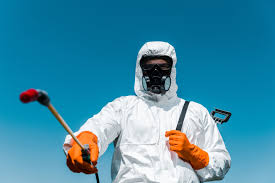 Best Outdoor Pest Control  in Skyline, AL